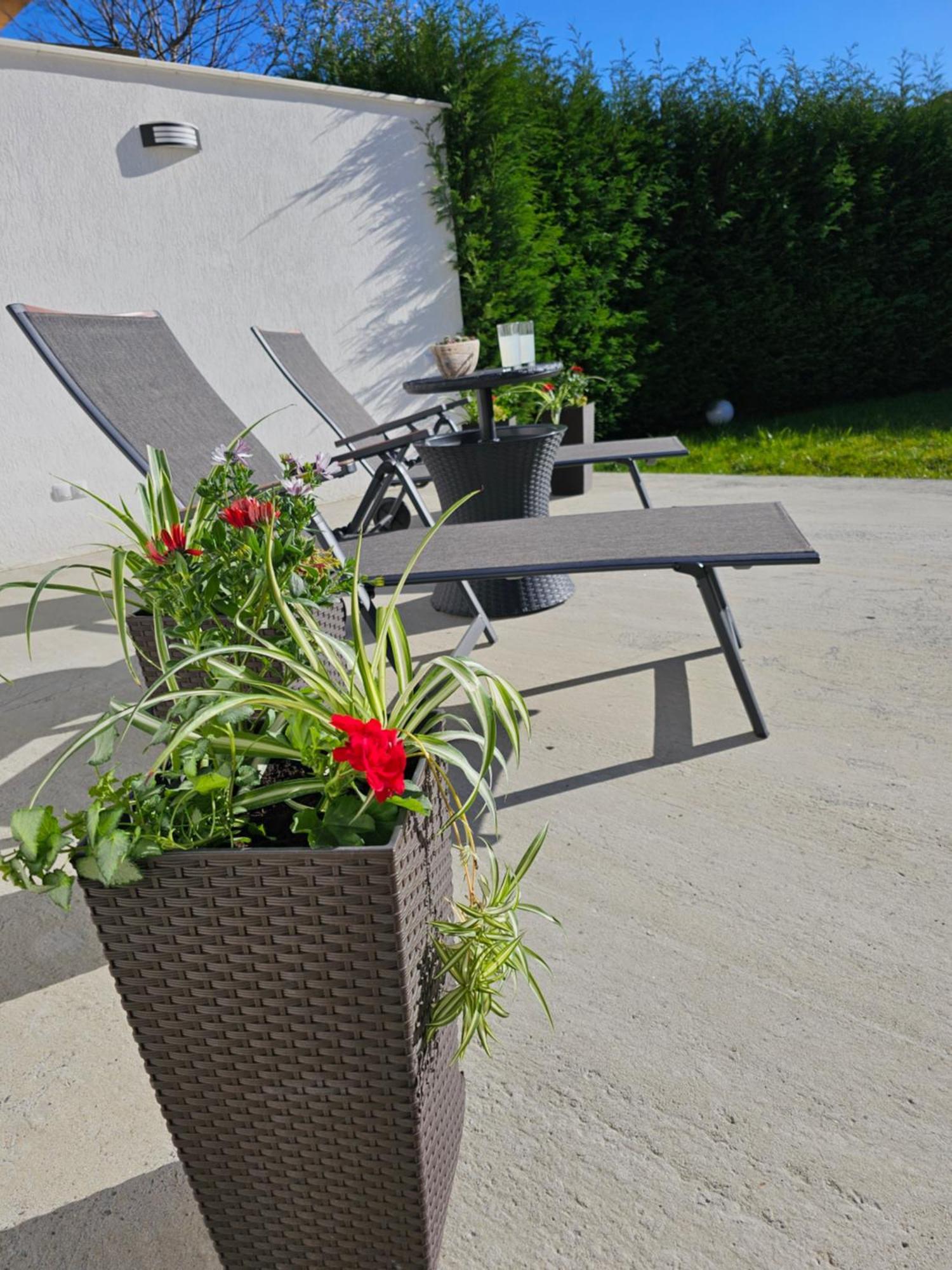 Concept Urban Appartement Mediaş Buitenkant foto